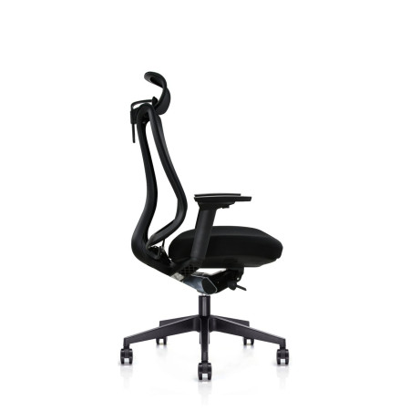 Εργονομική Καρέκλα Γραφείου SIBE 253H