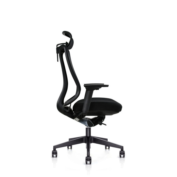 Εργονομική Καρέκλα Γραφείου SIBE 253H